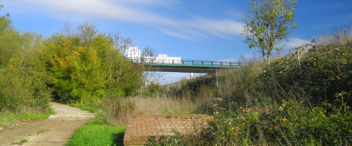 A dirt path leading to a bridge over a body of water, surrounded by greenery and trees.