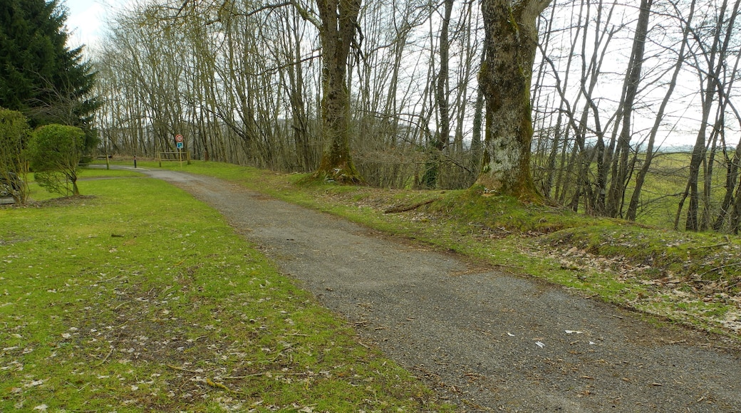 This file was uploaded with Commonist. Coulée verte du canal à Châlonvillars (HDR).