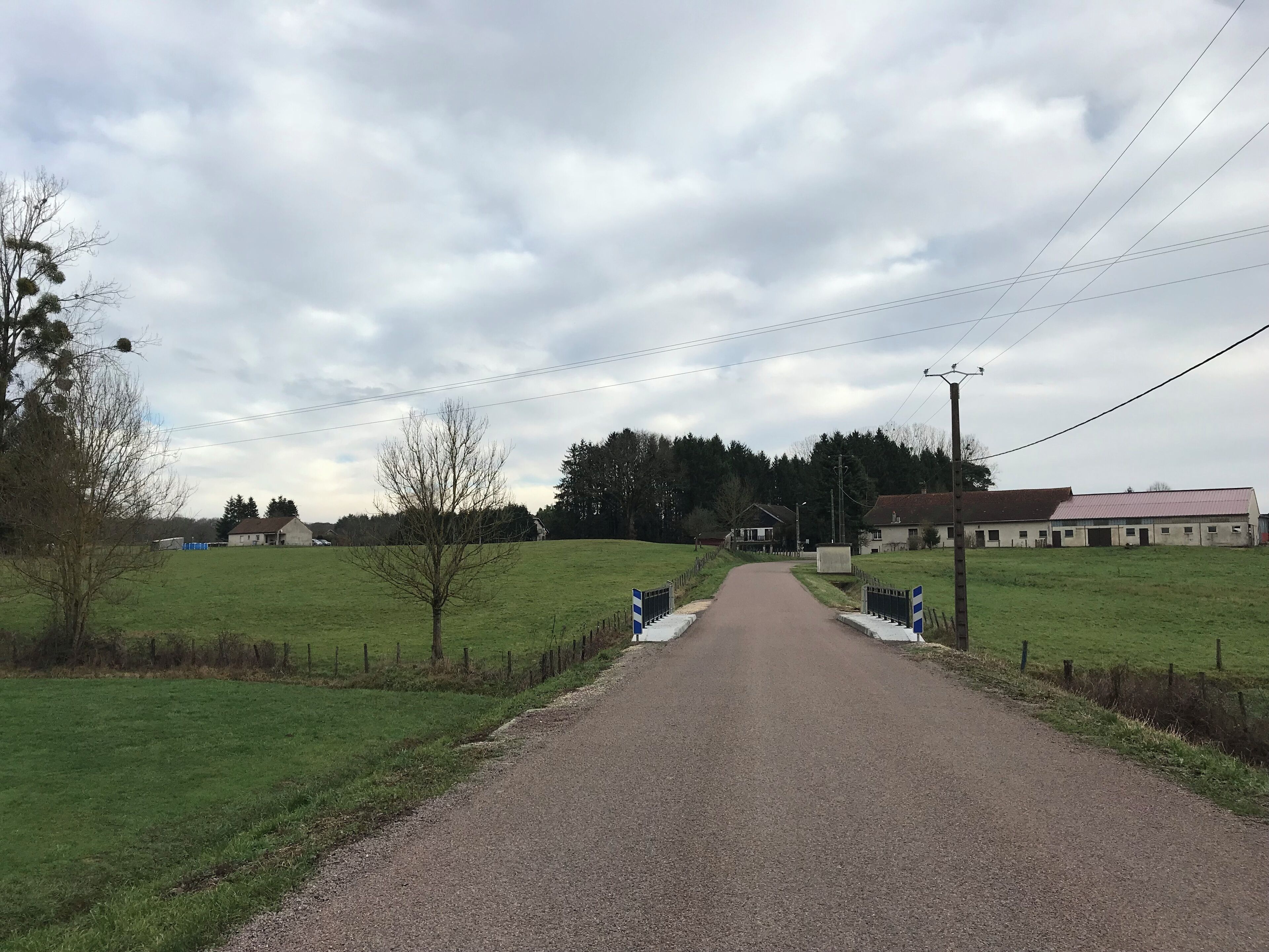 Chêne-Bernard (Jura, France) en janvier 2018.