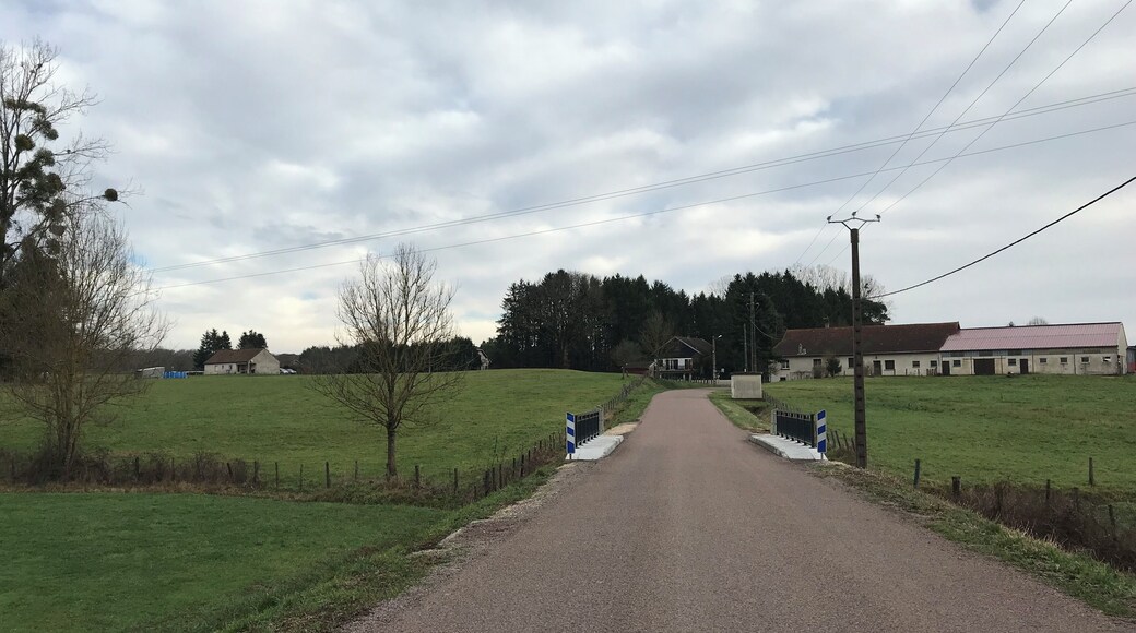 Chêne-Bernard (Jura, France) en janvier 2018.