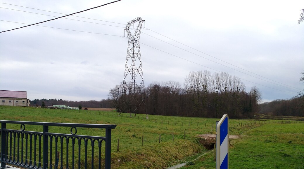 Chêne-Bernard (Jura, France) en janvier 2018.