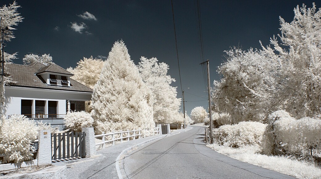 Rue des Acacias, Saint-Aubin (Jura, Franche-Comté, France) photographié avec un filtre infrarouge 720 nm.
