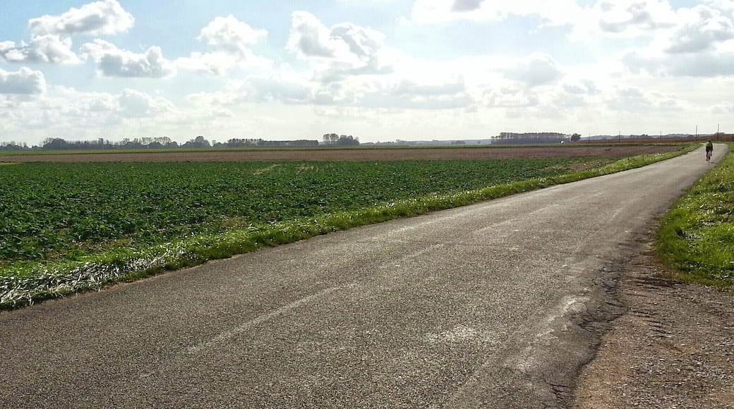 Paysage vers Saint-Aubin dans le Jura. Vuos pensiez que le Jura Ă©tait un dĂ©partement uniquement montagneux? Erreur : ce coin du dĂ©partement est plat comme une crĂȘpe!