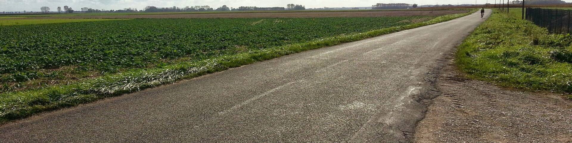 Paysage vers Saint-Aubin dans le Jura. Vuos pensiez que le Jura Ă©tait un dĂ©partement uniquement montagneux? Erreur : ce coin du dĂ©partement est plat comme une crĂȘpe!