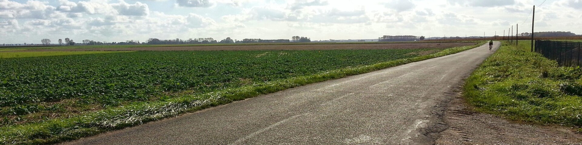 Paysage vers Saint-Aubin dans le Jura. Vuos pensiez que le Jura était un département uniquement montagneux? Erreur : ce coin du département est plat comme une crêpe!