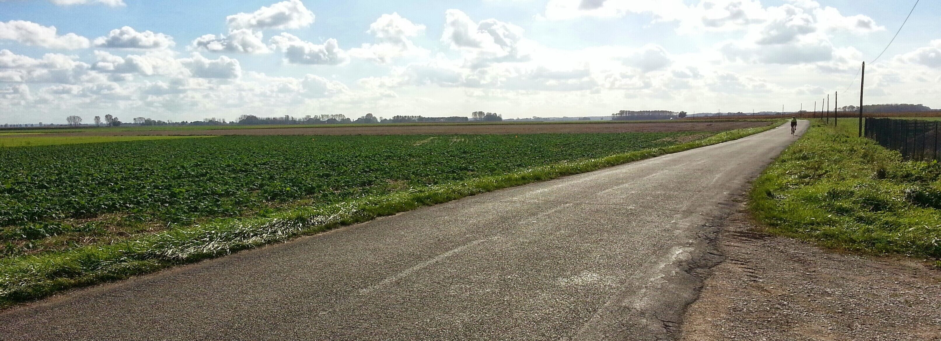 A rural road flanked by fields and a cyclist in the distance.
