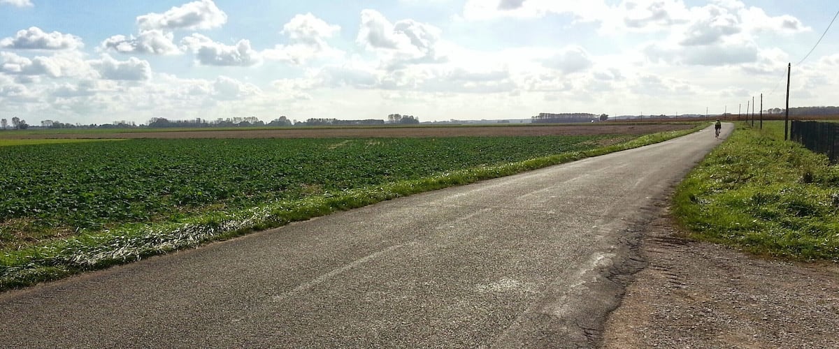 A rural road flanked by fields and a cyclist in the distance.