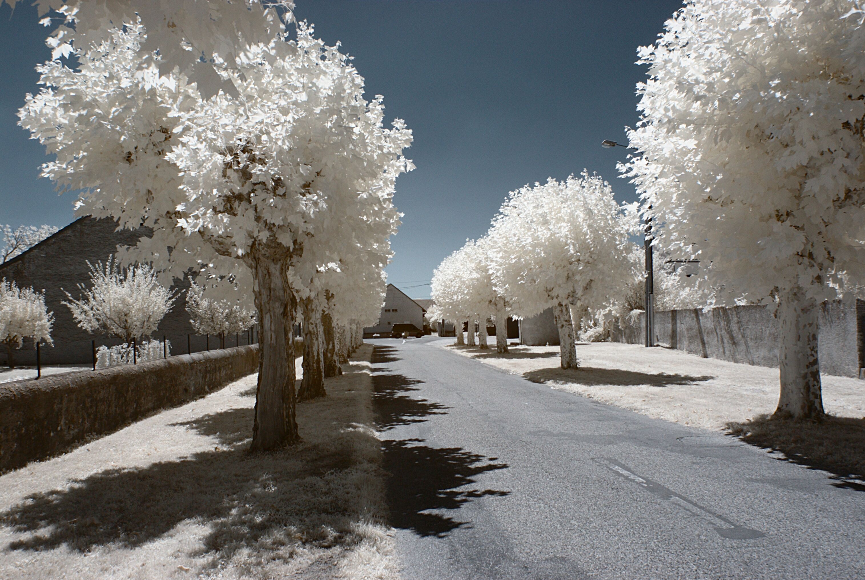 Rue Maurice Lamy, Saint-Aubin (Jura, Franche-Comté, France) photographié avec un filtre infrarouge 720 nm.