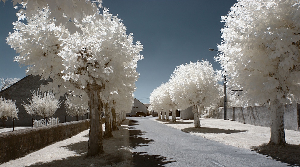 Rue Maurice Lamy, Saint-Aubin (Jura, Franche-Comté, France) photographié avec un filtre infrarouge 720 nm.