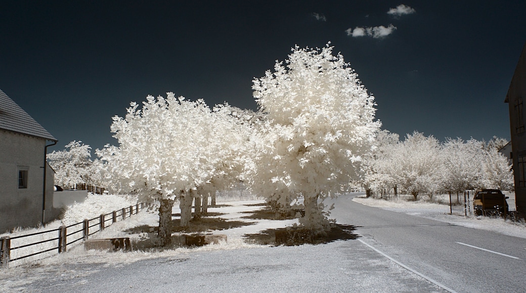 Place du Souvenir, Saint-Aubin (Jura, Franche-Comté, France) photographié avec un filtre infrarouge 720 nm.