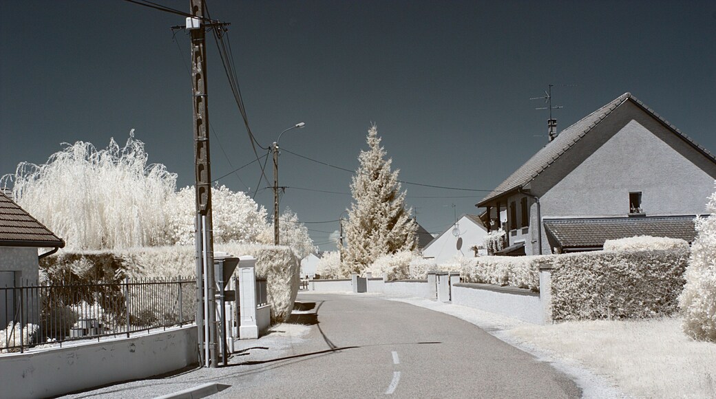 Rue du 19 mars 1962, Saint-Aubin (Jura, Franche-Comté, France) photographié avec un filtre infrarouge 720 nm.