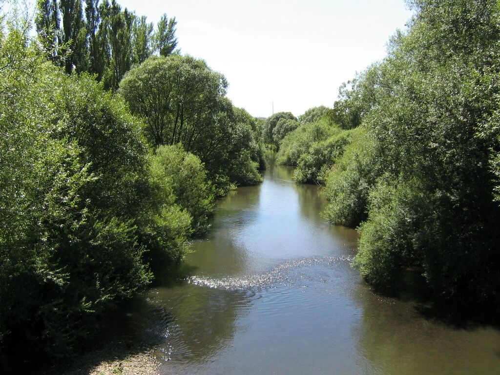La Savoureuse, vue du pont