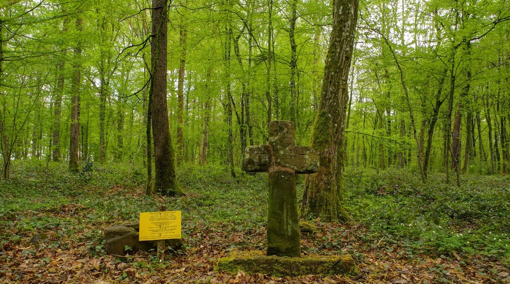 This file was uploaded with Commonist. Croix des femmes, à Mandrevillars (HDR).