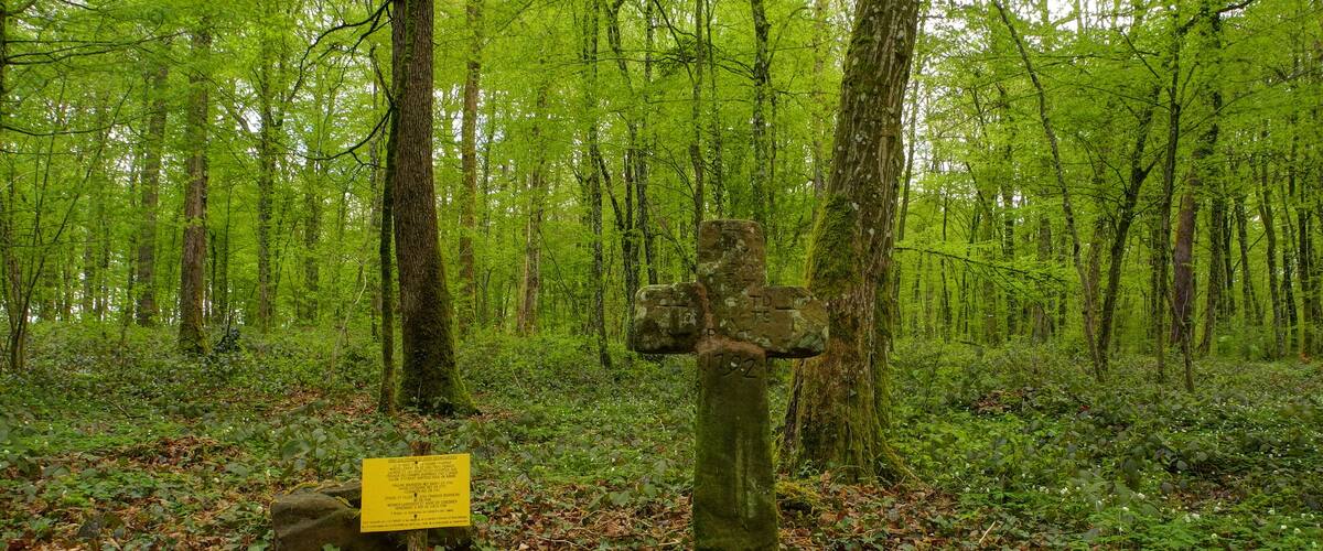 A stone cross in a forest with a yellow sign nearby.