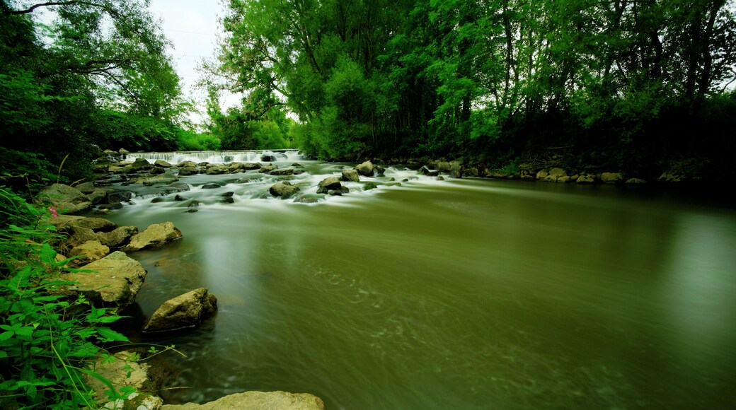 This file was uploaded with Commonist. La Savoureuse, à Châtenois-les-Forges. Photo réalisée avec un filtre Hoya ND400 + un filtre polarisant Hoya PRO1.