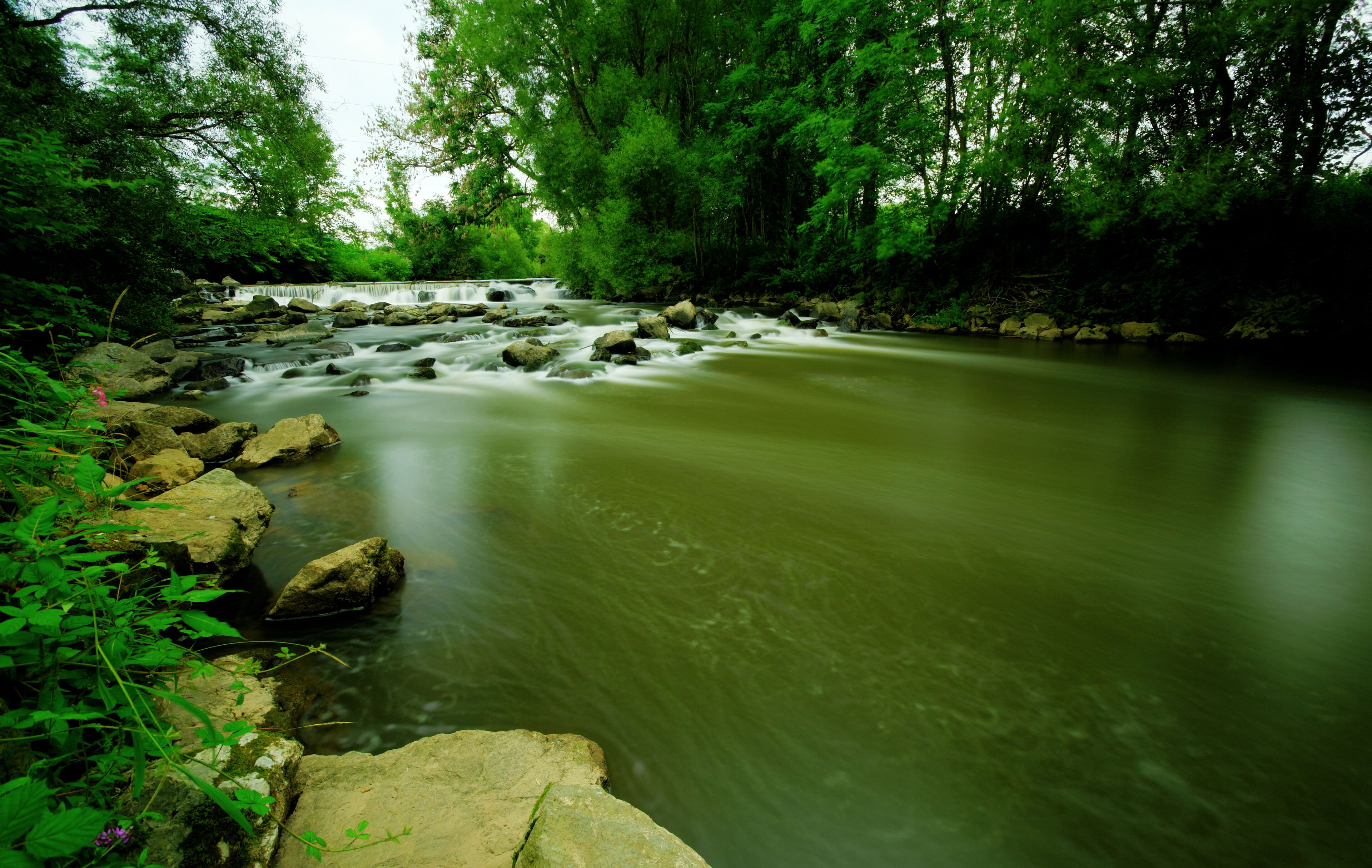 A river flowing through a forest with rocks and greenery.