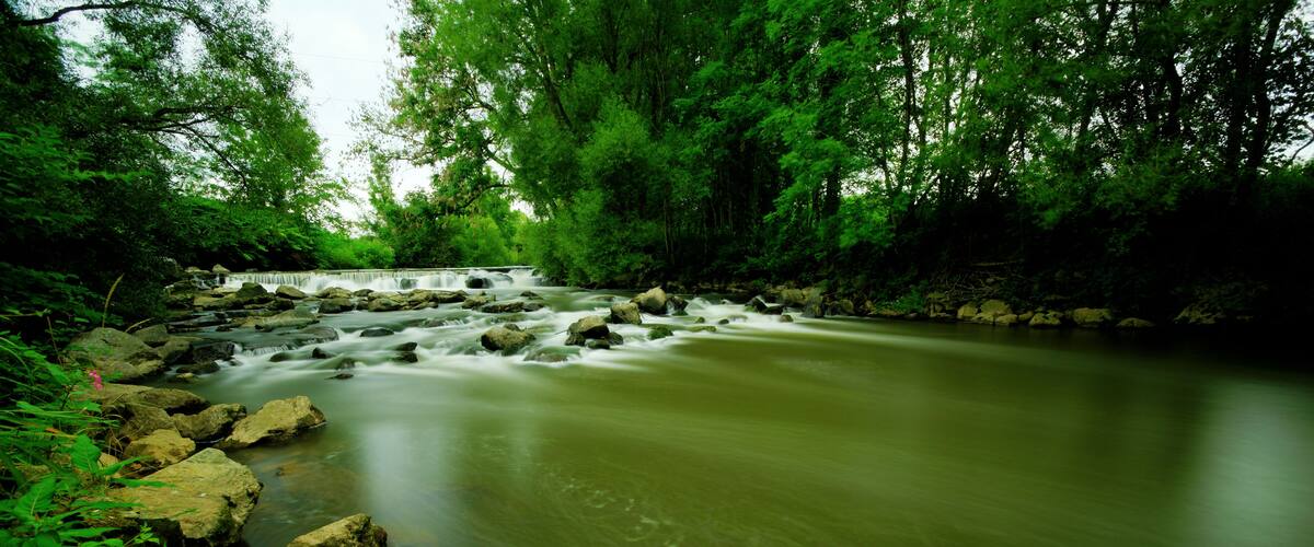 A river flowing through a forest with rocks and greenery.