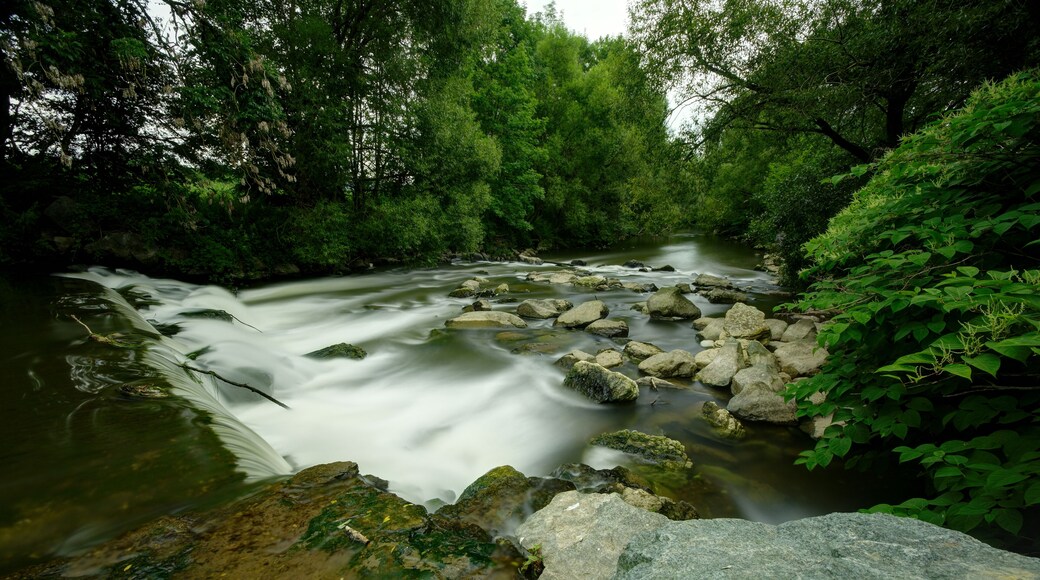 This file was uploaded with Commonist. La Savoureuse, à Châtenois-les-Forges. Photo réalisée avec un filtre Hoya ND400 + un filtre polarisant Hoya PRO1.