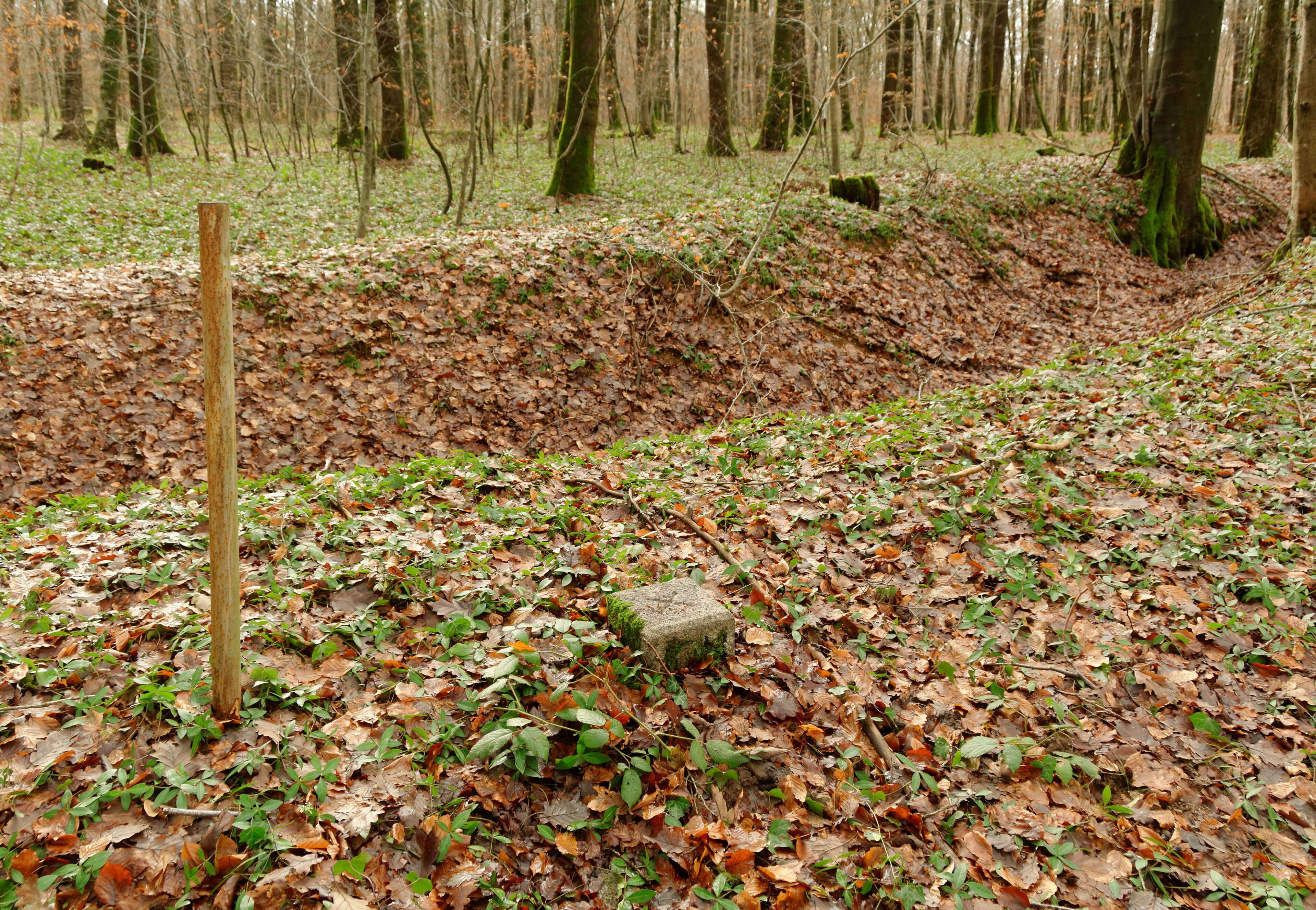 This file was uploaded with Commonist. Borne géodésique n° 9000202 (à Angeot).