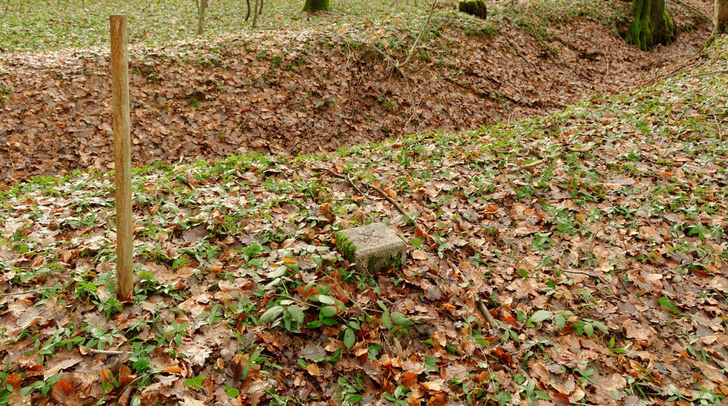 This file was uploaded with Commonist. Borne géodésique n° 9000202 (à Angeot).