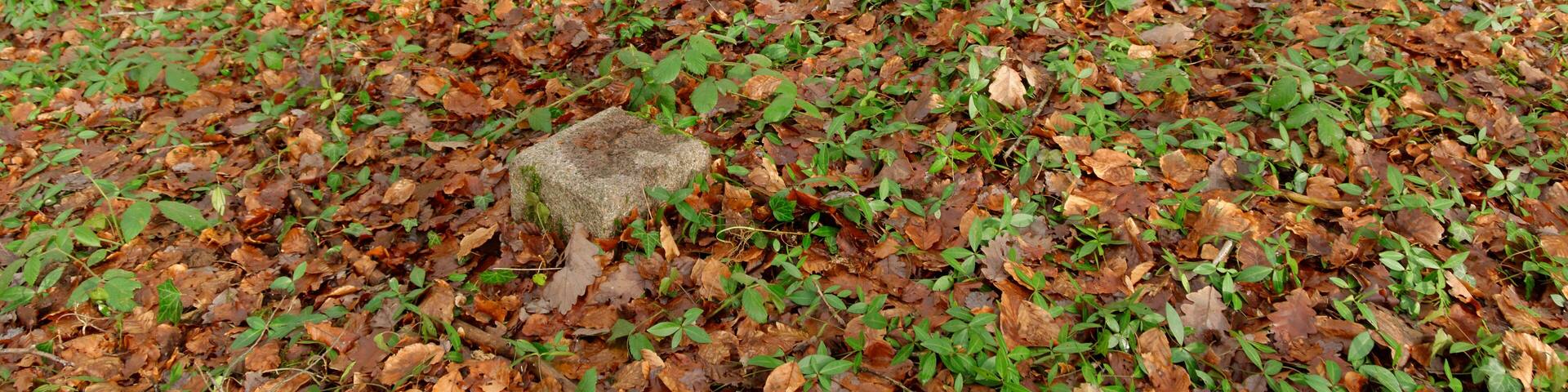 This file was uploaded with Commonist. Borne géodésique n° 9000202 (à Angeot).