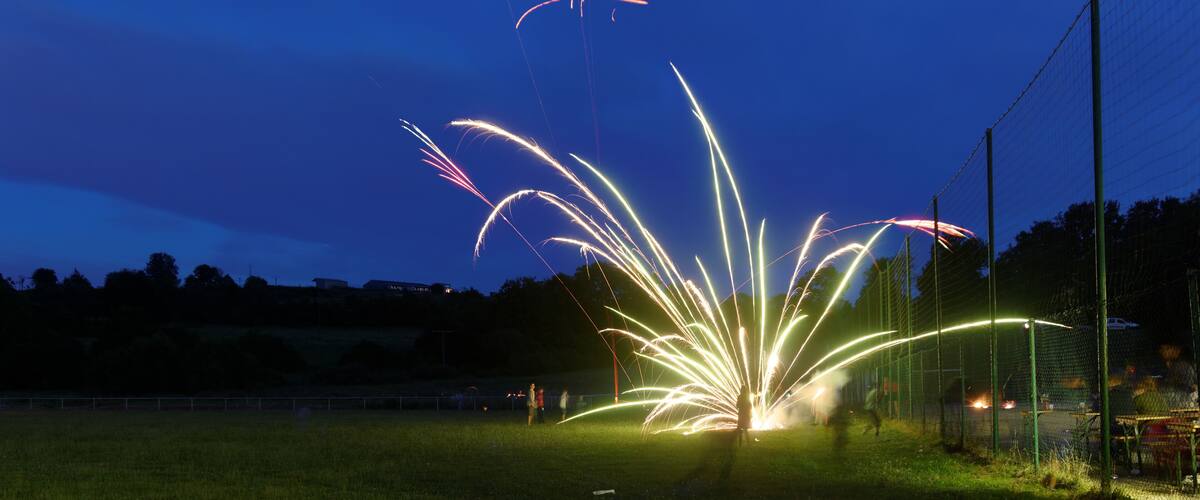 A nighttime scene with fireworks in a grassy field, a fence, and trees in the background.