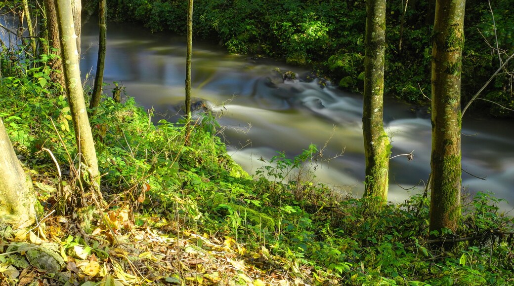 This file was uploaded with Commonist. La Douce, à Bermont. Photo réalisée avec un filtre ND400.