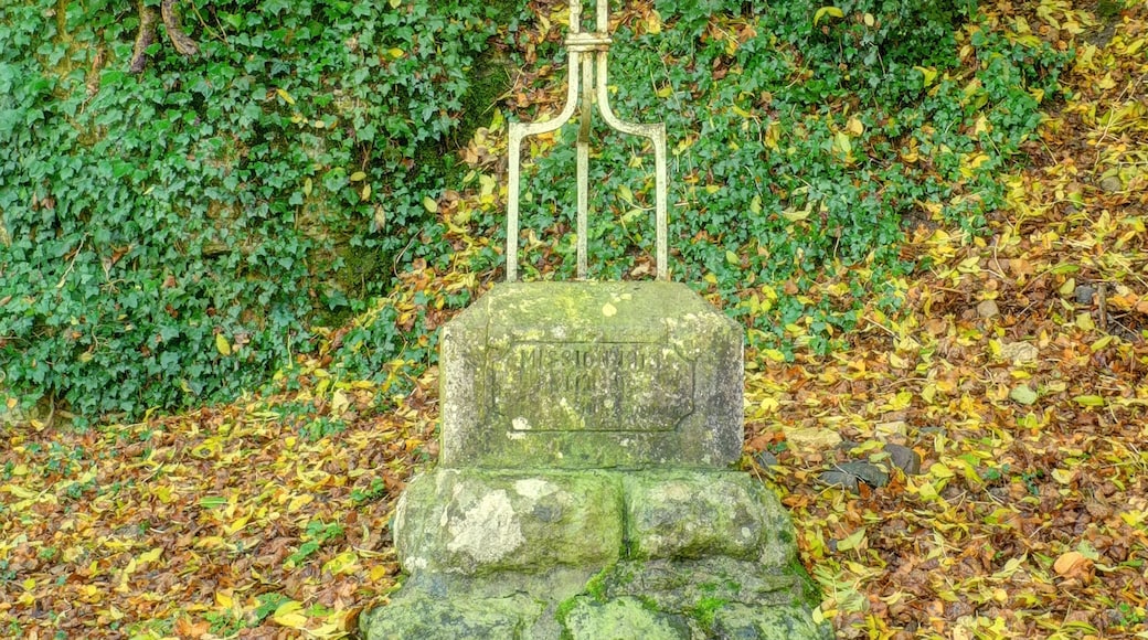 This file was uploaded with Commonist. Croix de mission de Bermont (HDR).