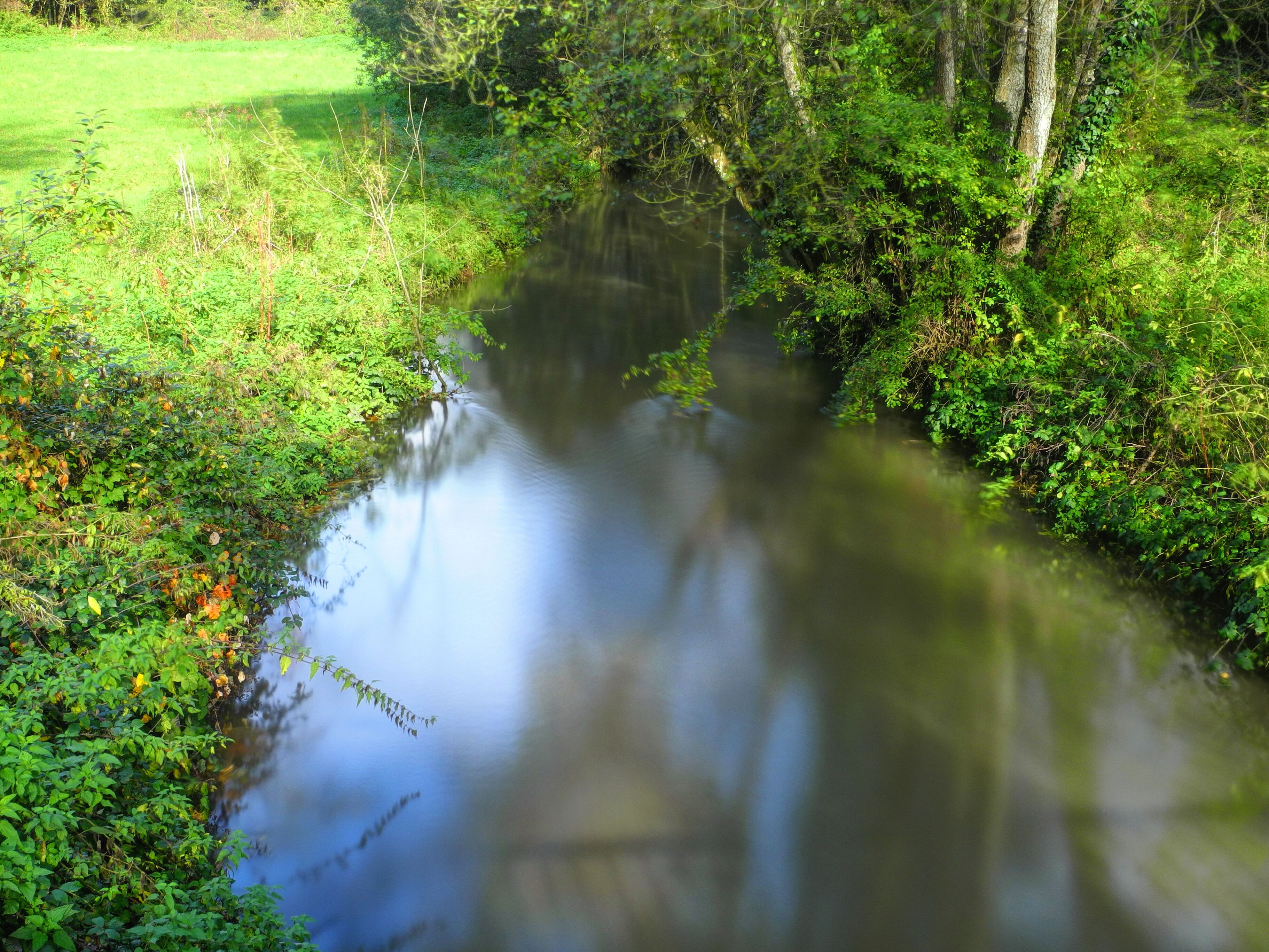 A calm river surrounded by lush greenery and trees.