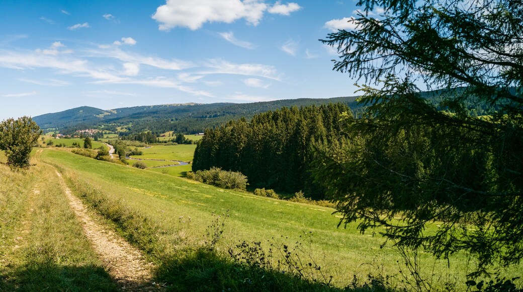Paroisse Val du Lizon