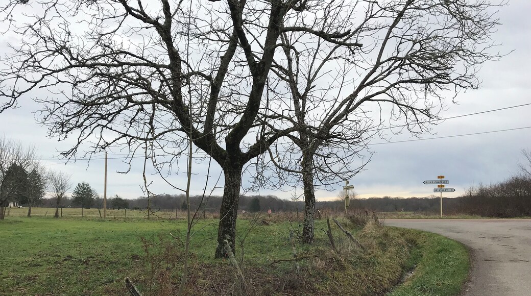 Chemenot (Jura, France) en janvier 2018.