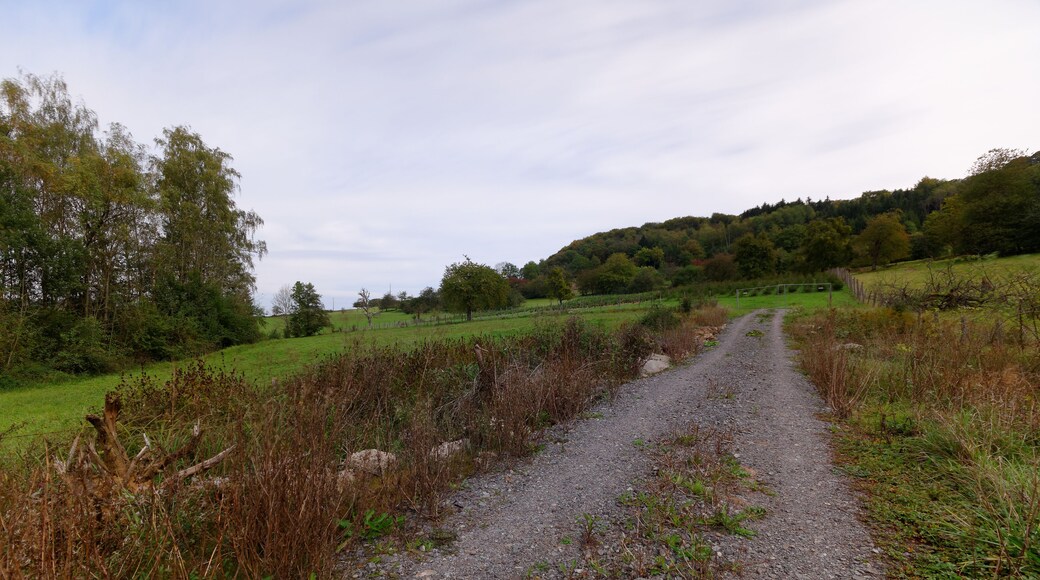 This file was uploaded with Commonist. Paysage à Champey. Photo réalisée avec un filtre Hoya ND16 + Hoya ND1000.