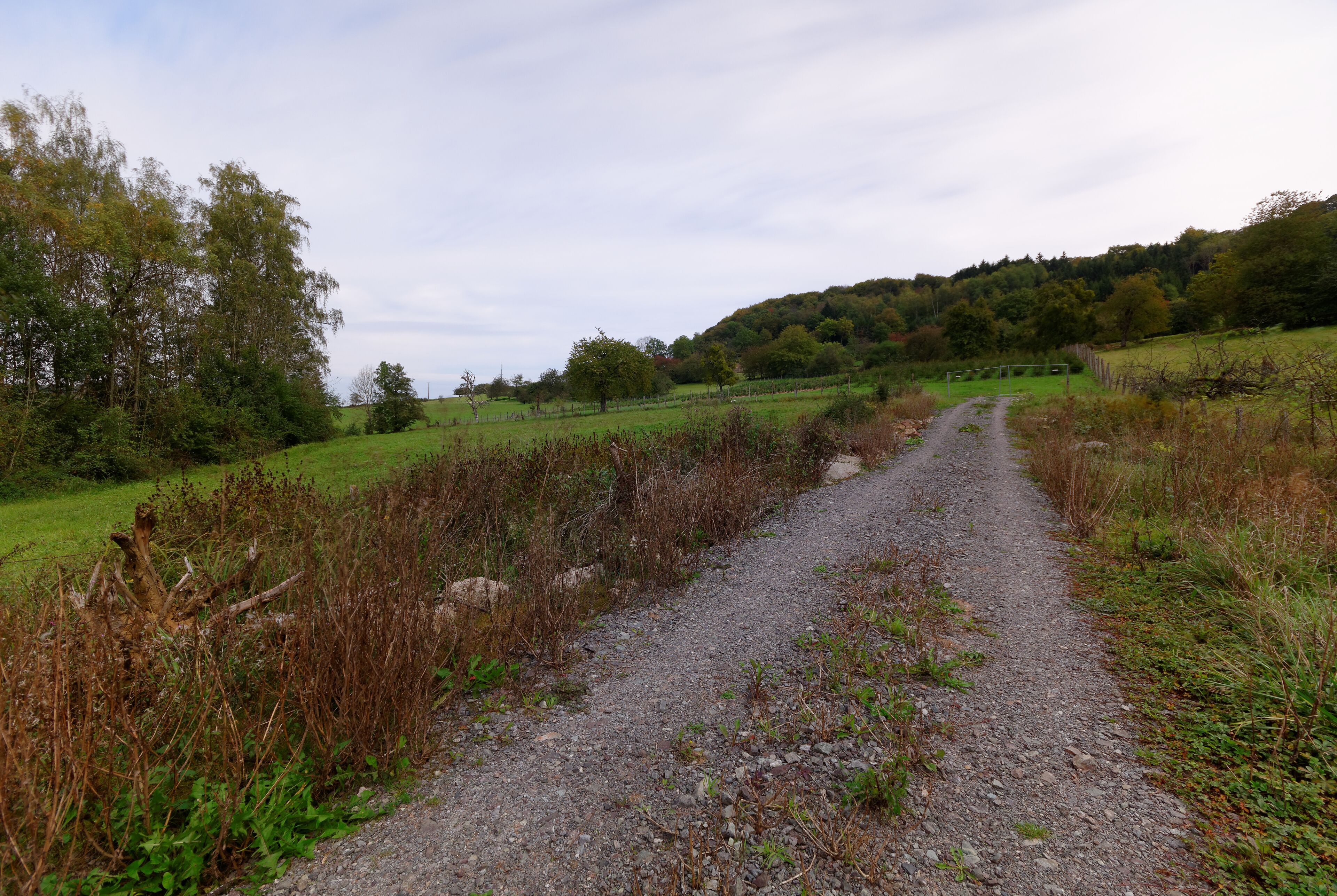 A gravel path in a rural area with green fields and trees.