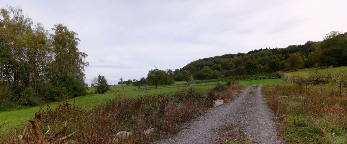 A gravel path in a rural area with green fields and trees.