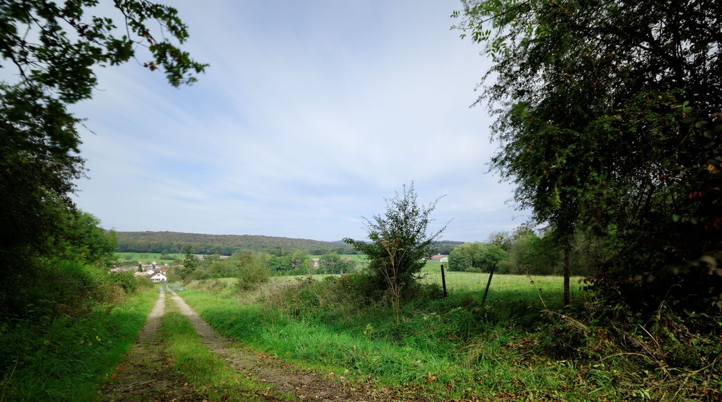 This file was uploaded with Commonist. Paysage à Champey. Photo réalisée avec un filtre Hoya ND400 + Hoya ND16 + Hoya ND8.