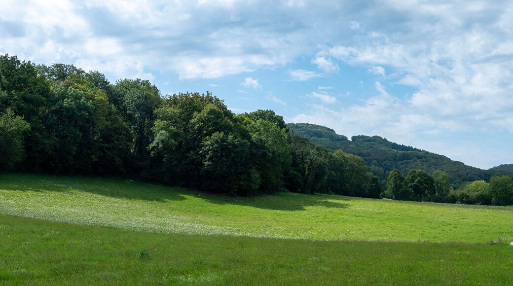 green jura countryside landscape in france