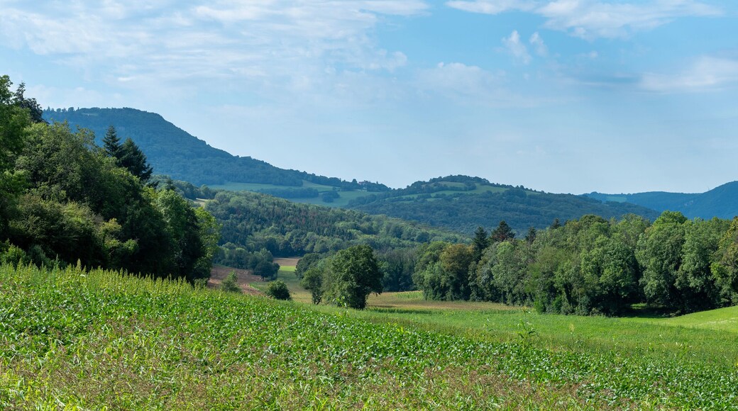 green jura countryside landscape in france