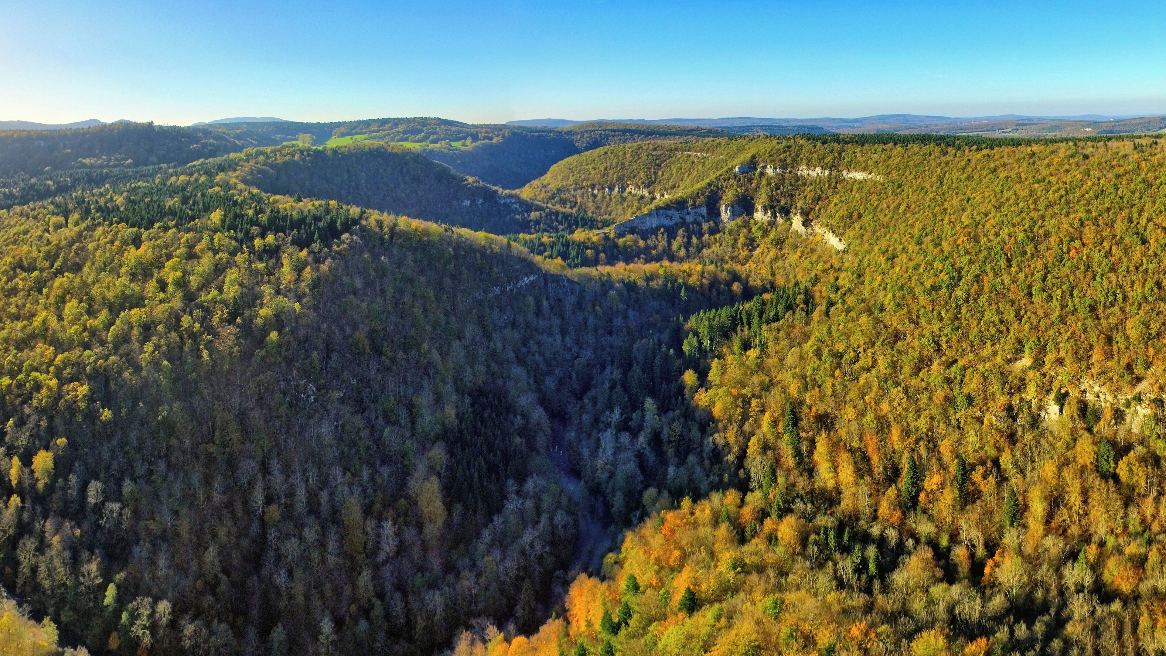 A forested valley with a river cutting through it.