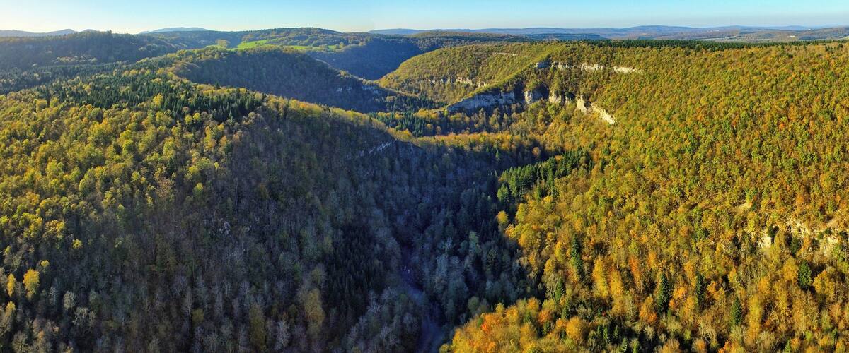 A forested valley with a river cutting through it.
