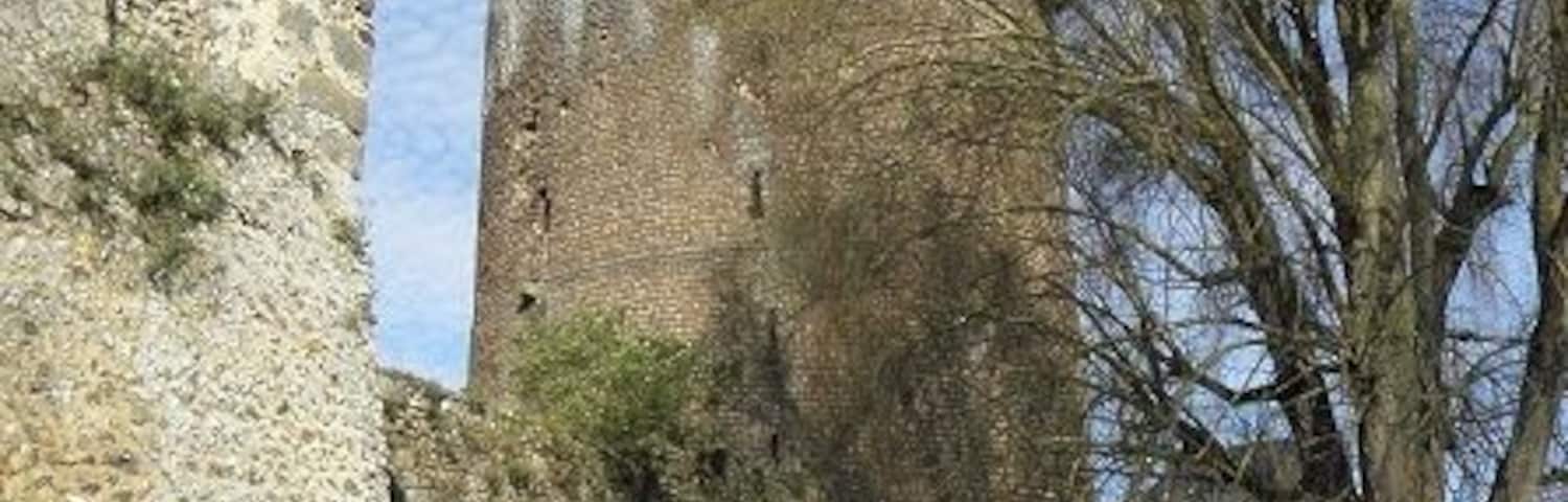 Tour grise à Verneuil-sur-Avre (27).