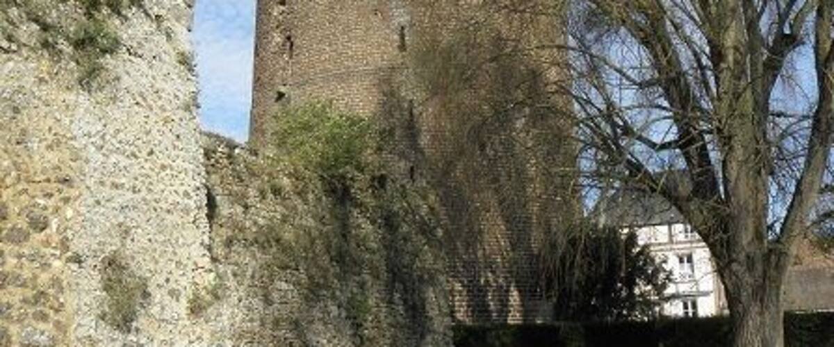 A historic stone wall and a large tower, with a tree casting shadows on the grass.