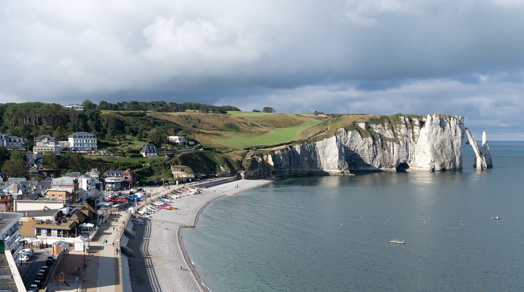 特雷斯德考克斯