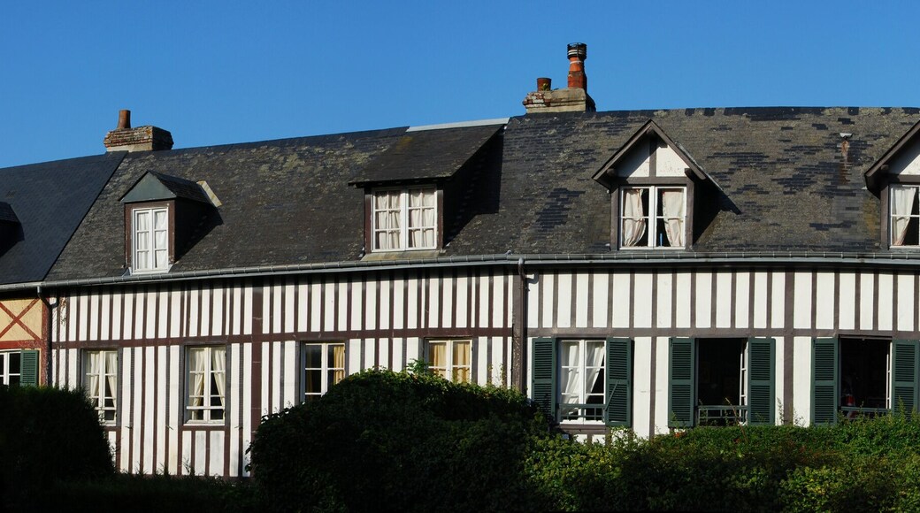 特雷斯德考克斯