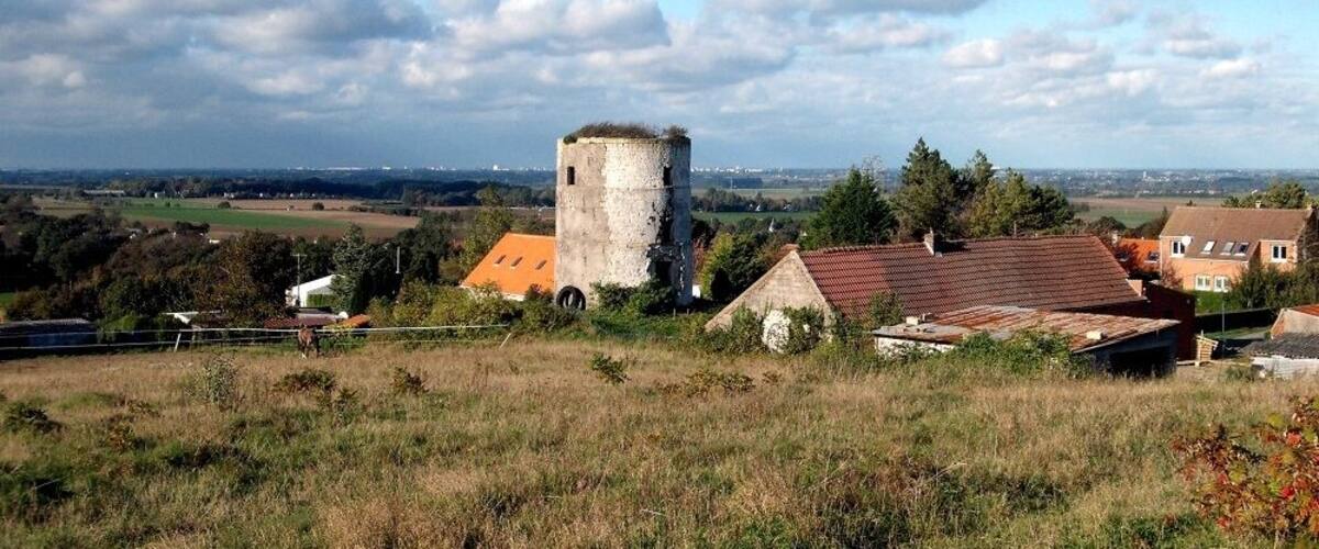 A tower, houses, and a rural landscape with fields and trees.