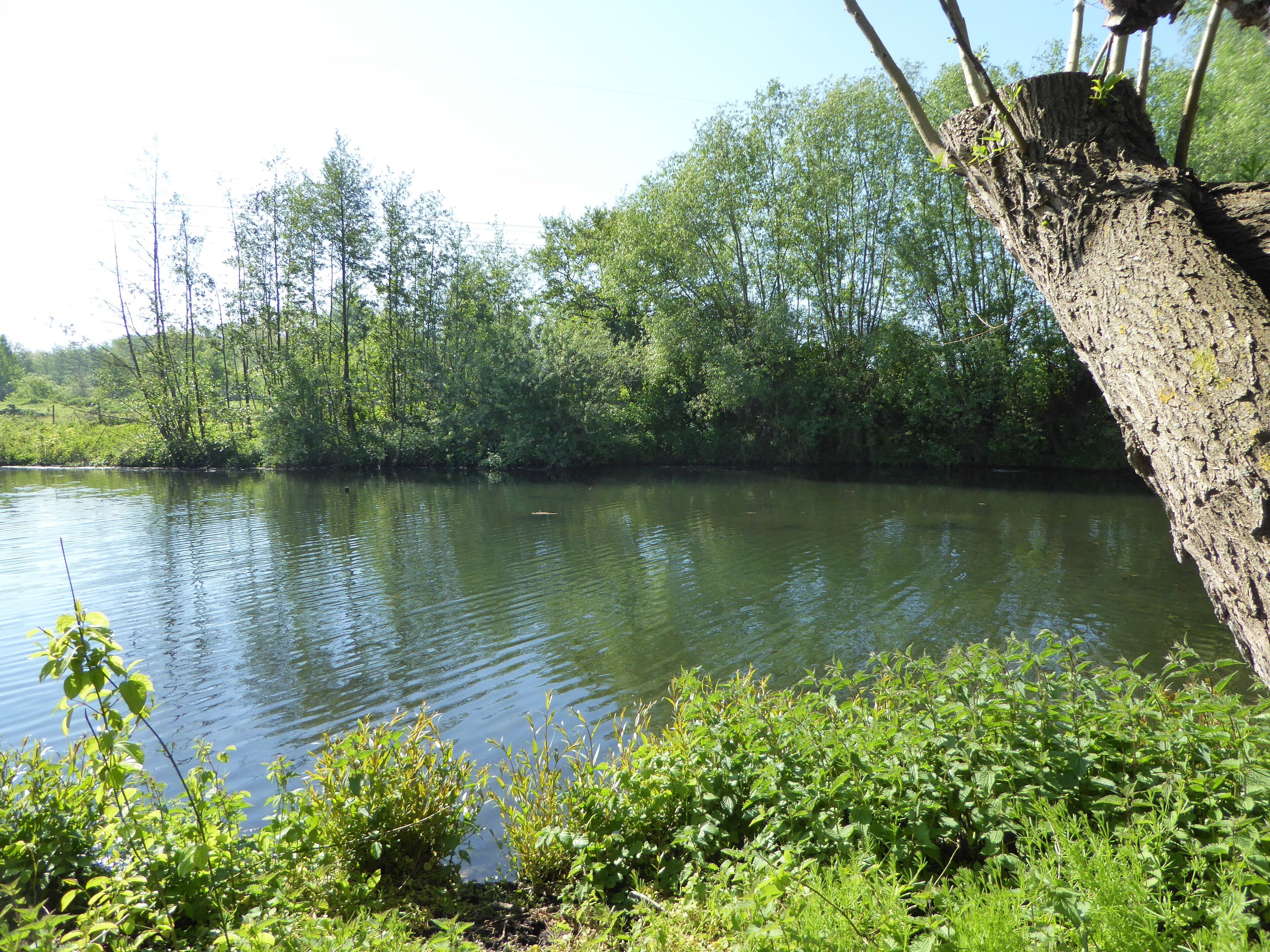 Fretin. Le Marais de Bonance