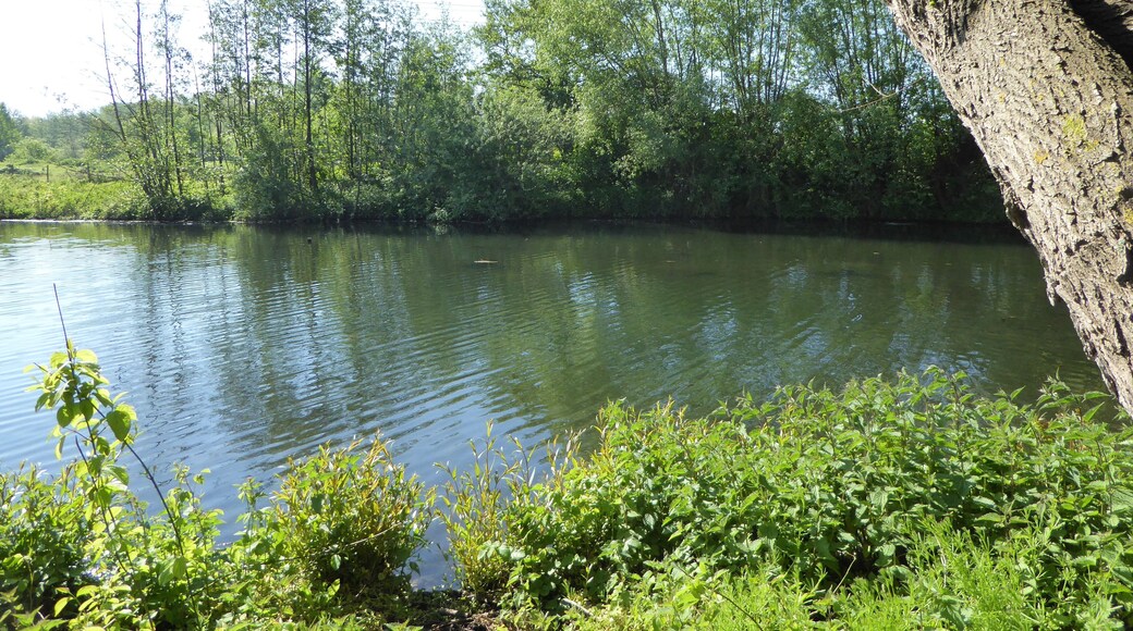 Fretin. Le Marais de Bonance