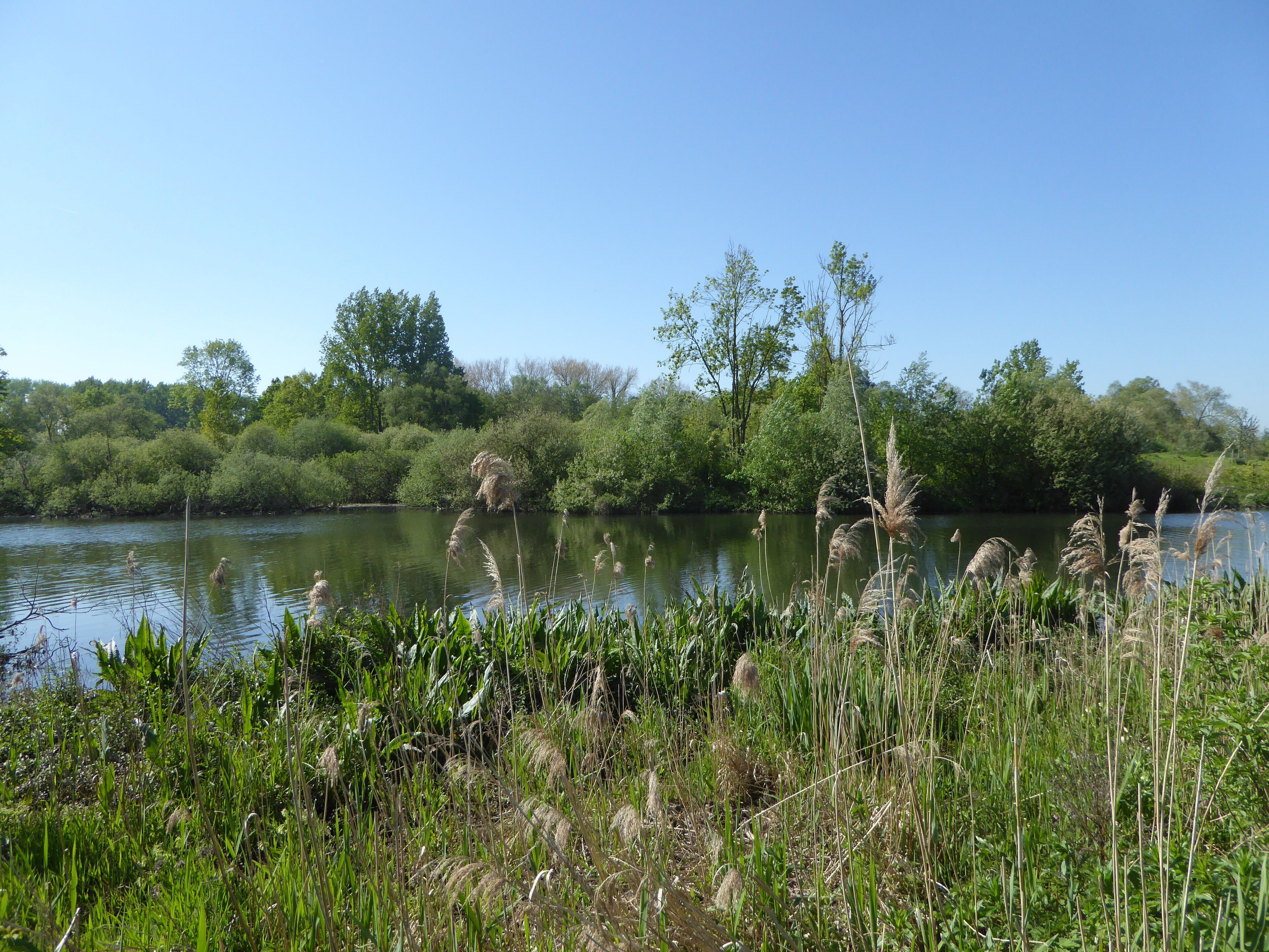 Fretin. Le Marais du Varlet