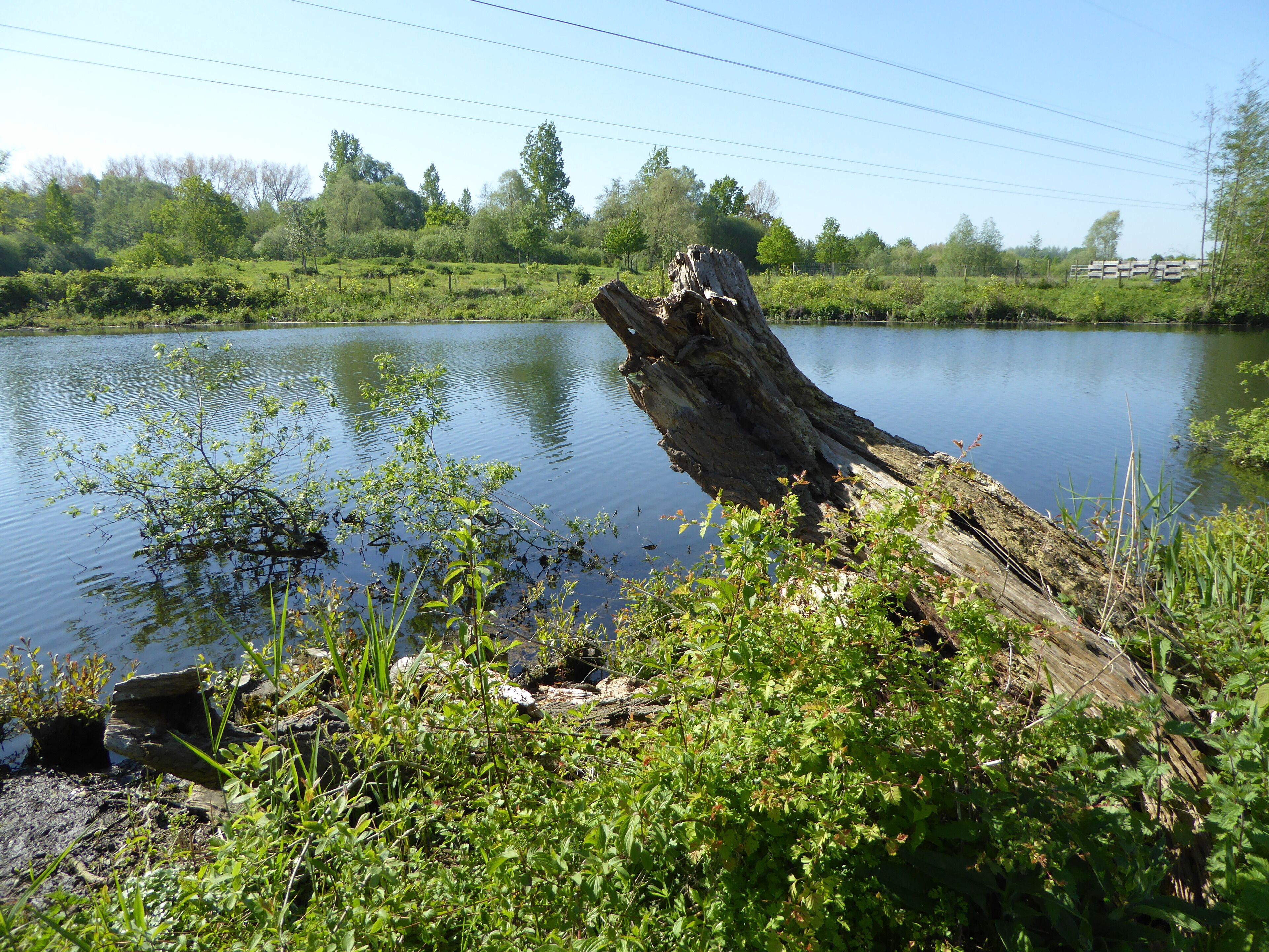 Fretin. Le Marais du Varlet