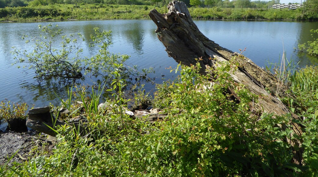 Fretin. Le Marais du Varlet