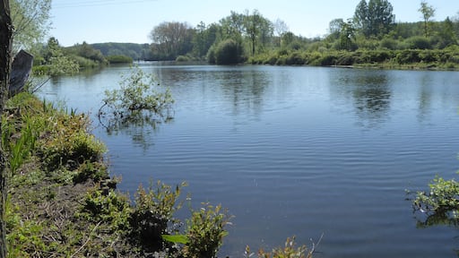 Fretin. Marais du Varlet